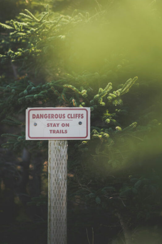 Cartel informativo en senda