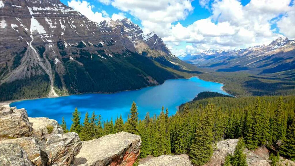Vistas tras el sendero fácil para ver el Peyto Lake