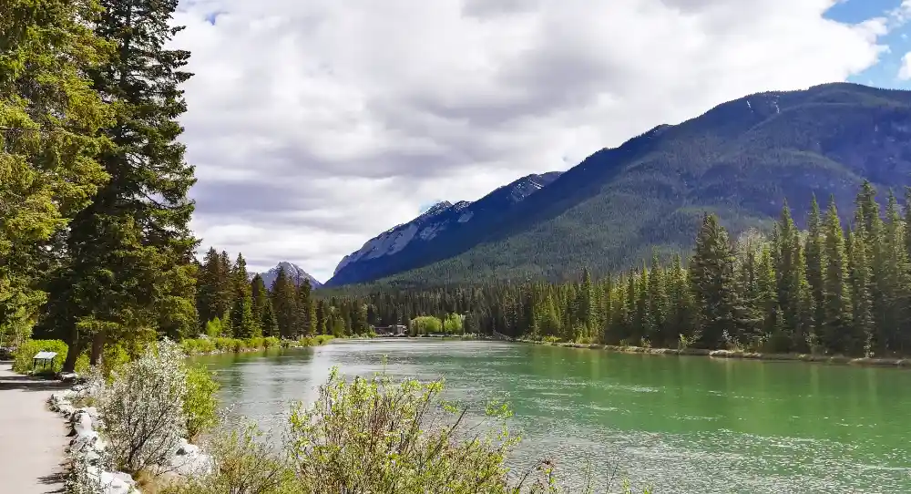 Vistas del rio en el paseo Bow river trail en Banff dentro del Banff national park