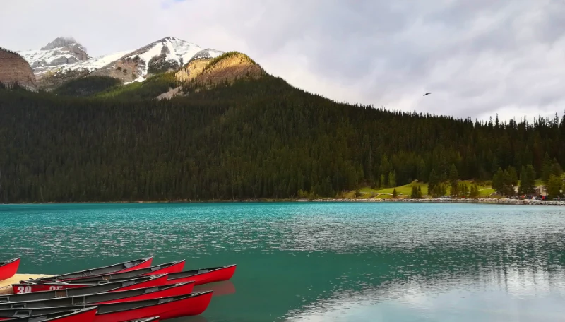 Canoas rojas amarradas en el embarcadero de Lake Louise con el monte Little Beehive y el paseo del lago de fondo.