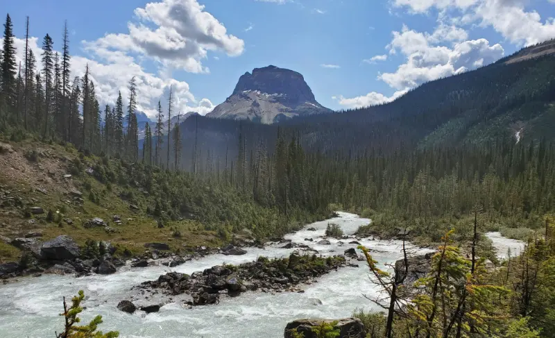 Río Yoho con Wapta Mountain al fondo en el sendero hacia Takakkaw Falls en Yoho National Park
