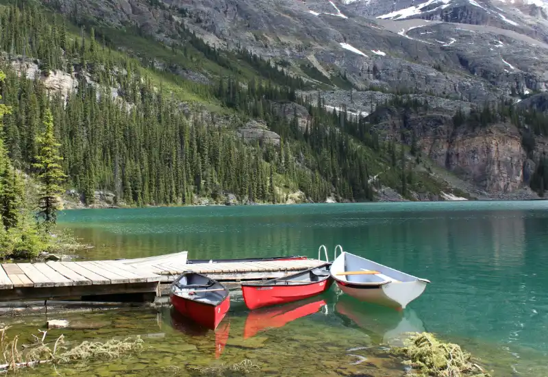 Canoas rojas de madera amarradas en el muelle del Lake O'Hara Lodge, exclusivas para huéspedes, con el lago turquesa de fondo.