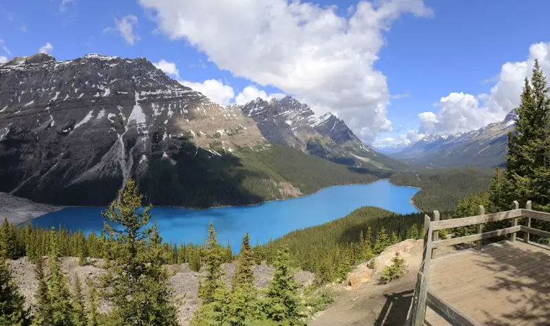 Vista panorámica del Lago Peyto con su característico color turquesa y forma de lobo desde el mirador de madera en el Parque Nacional Banff.
