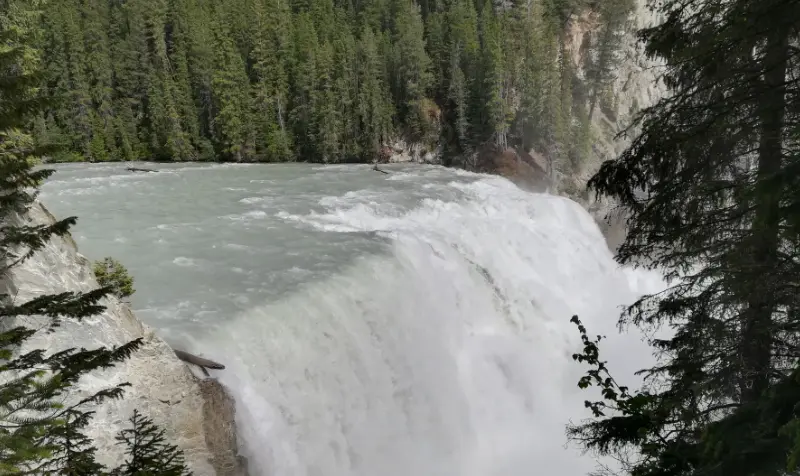 Panorámica de las cascadas Wapta Falls desde el mirador superior, mostrando la amplitud del río Kicking Horse y el bosque del Parque Nacional Yoho.