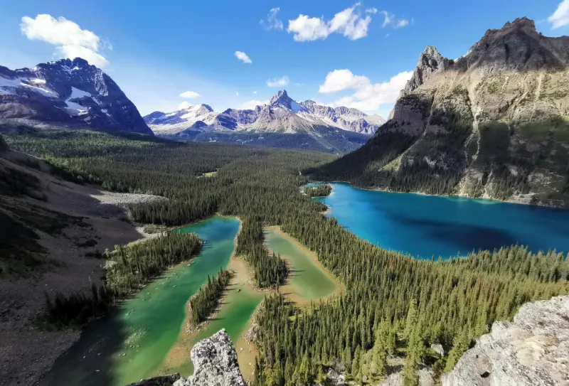 Vistas panoramicas de Lake O'Hara en Yoho National Park