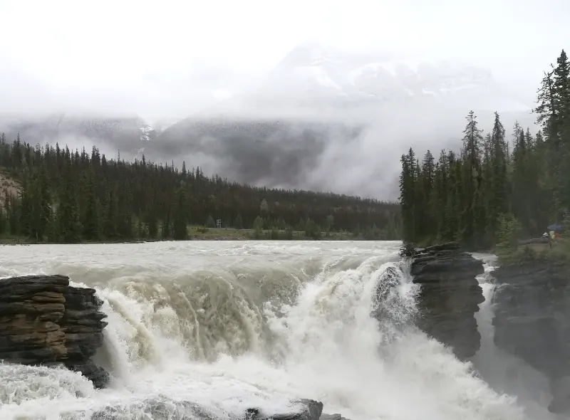 Athabasca Falls: guía completa de la cascada más potente de Jasper