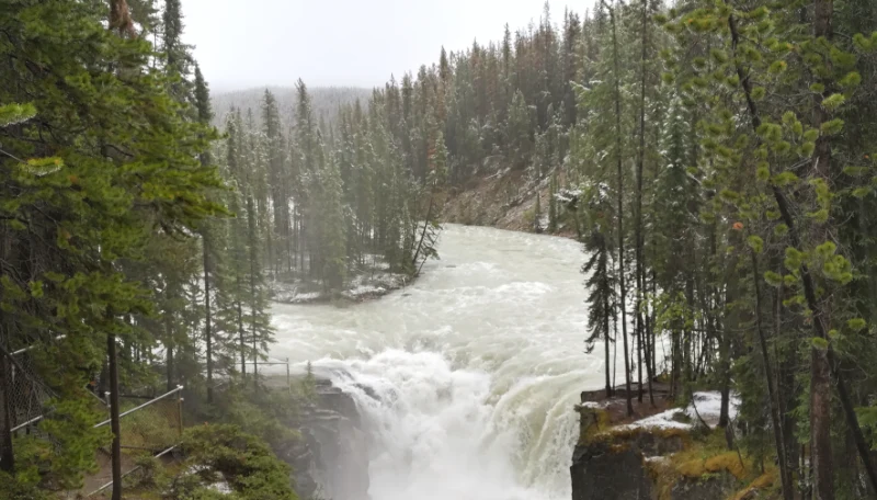 Sunwapta Falls: guía completa de Upper y Lower Falls en Jasper